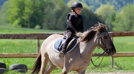 Урок верхової їзди Урок верхової їзди