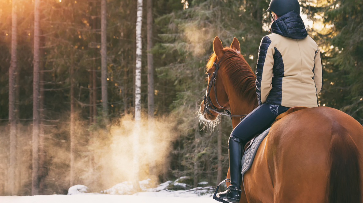 Урок верхової їзди Хобі для хлопчиків - Урок верхової їзди
