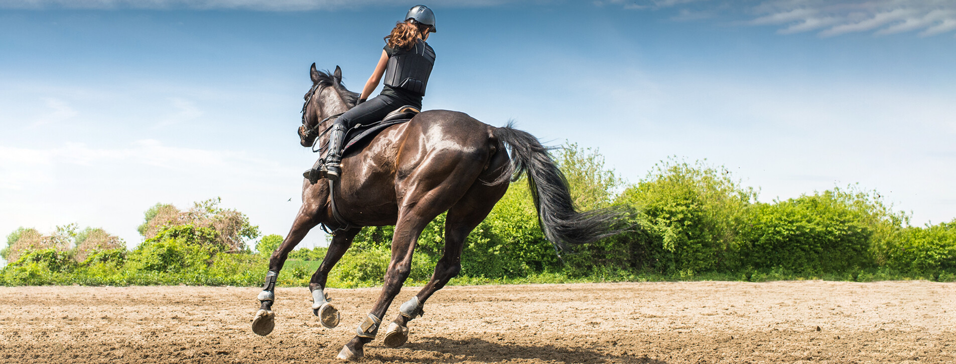 Урок верхової їзди під Харковом Фото 1 - Урок верхової їзди