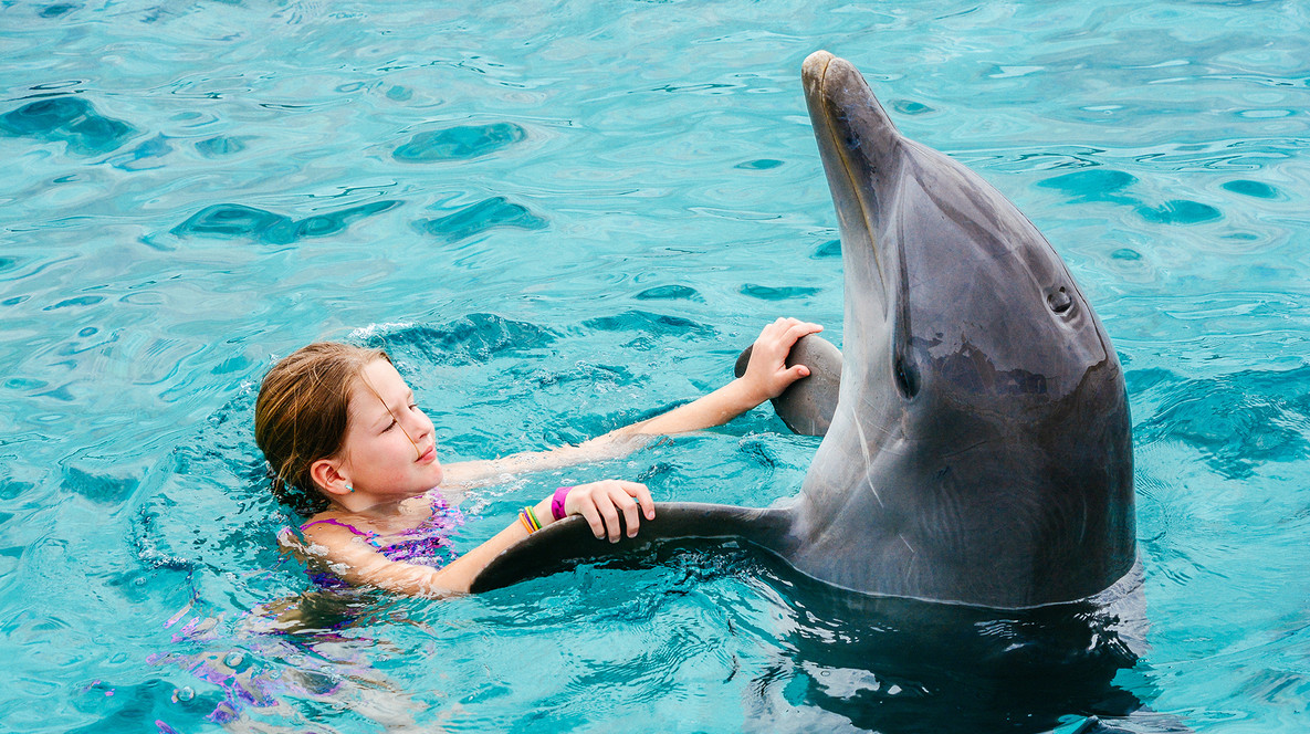 Плавання з дельфінами Подарунки сестрі на 15 років у Харкові - Плавання з дельфінами