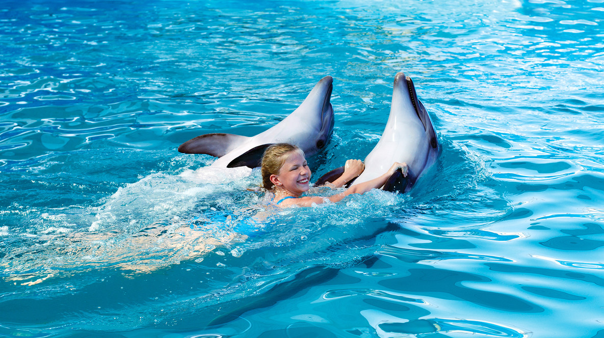 Плавання з дельфінами для двох Як відсвяткувати річницю 8 років у Харкові - Плавання з дельфінами для двох