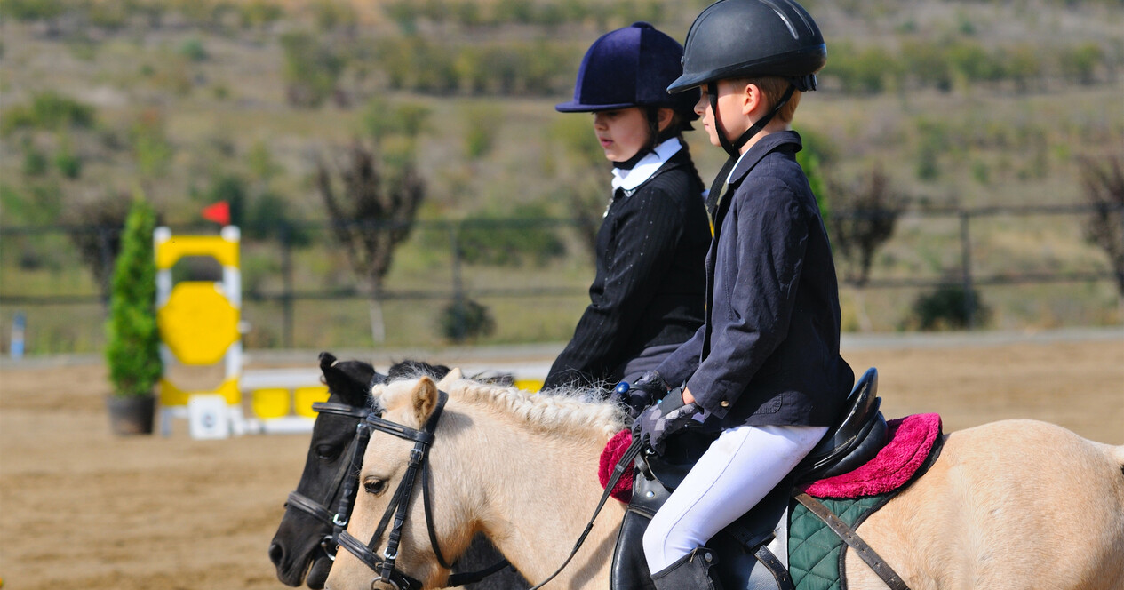 Урок верхової їзди для двох - 12 Фото 12 - Урок верхової їзди для двох