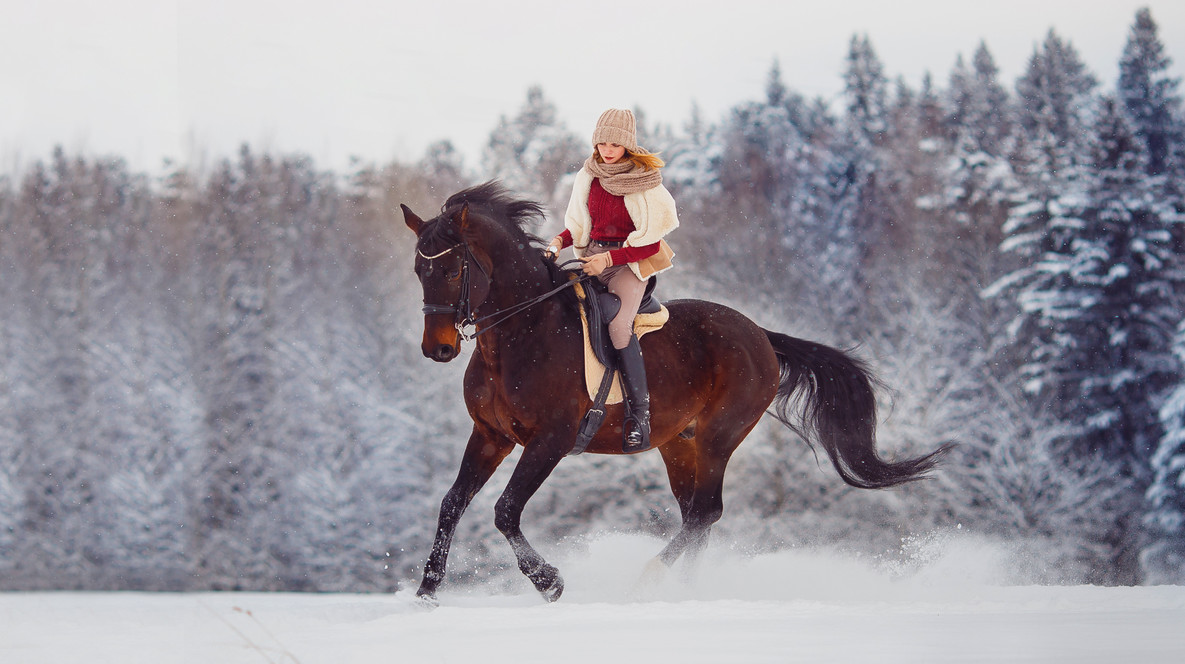 Урок верхової їзди Подарунки на день народження 40 років у Дніпрі - Урок верхової їзди