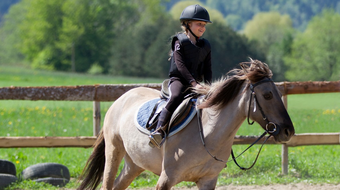 Урок верхової їзди Хобі для хлопчиків у Дніпрі - Урок верхової їзди