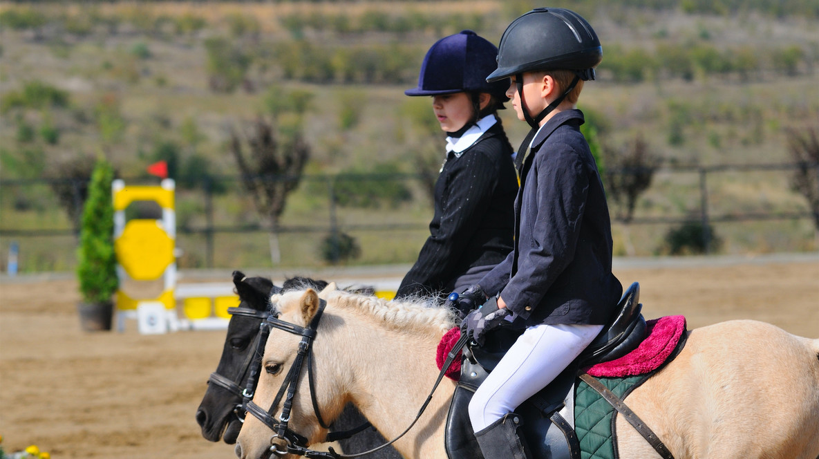 Урок верхової їзди для двох Подарунки на день народження 21 рік у Дніпрі - Урок верхової їзди для двох