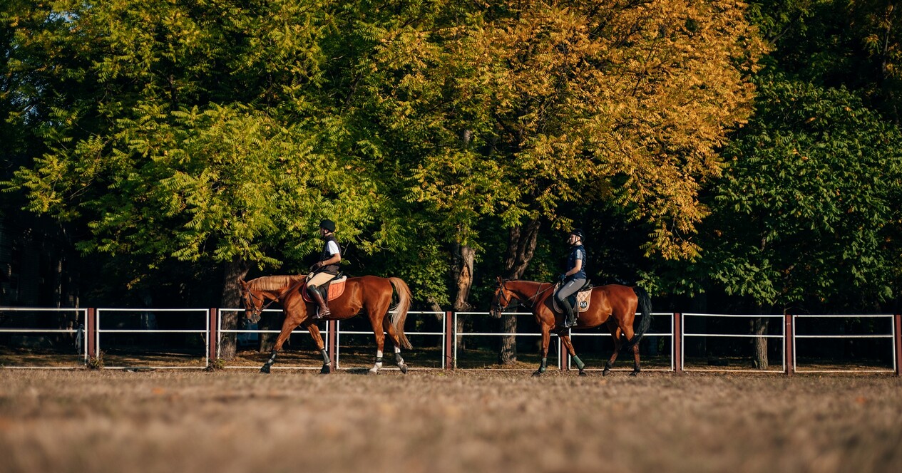 Урок верхової їзди - 20 Фото 20 - Урок верхової їзди