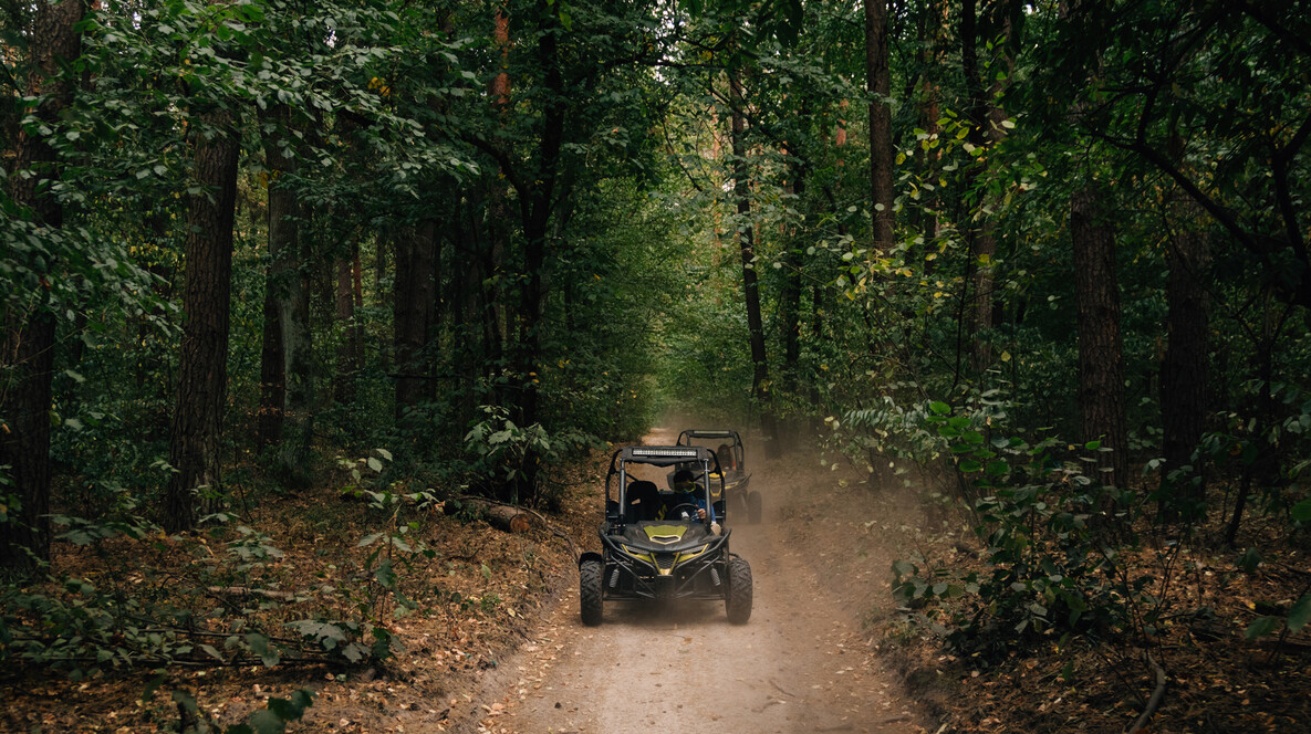 Прогулка на багги для двоих Подарки брату на 16 лет - Прогулка на багги для двоих