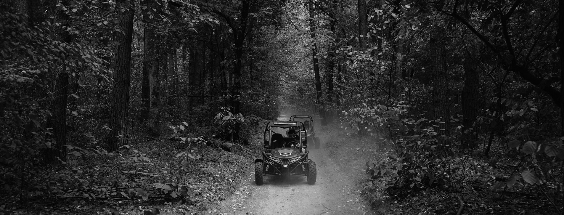 Фото 1 - Прогулянка на багі для двох