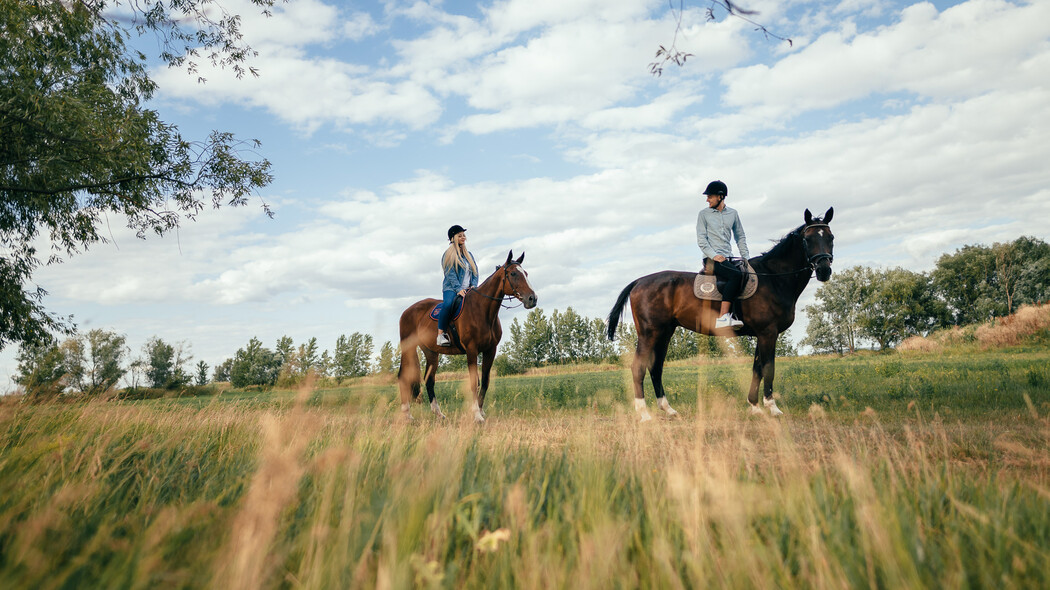 Фото - Враження від провайдера Олімп - Кінний клуб
