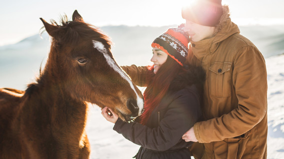 Прогулка на лошадях для двоих Как научиться кататься на лошадях - Прогулка на лошадях для двоих