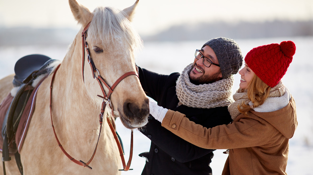 Прогулка на лошадях для двоих Подарки одноклассницам в Харькове - Прогулка на лошадях для двоих