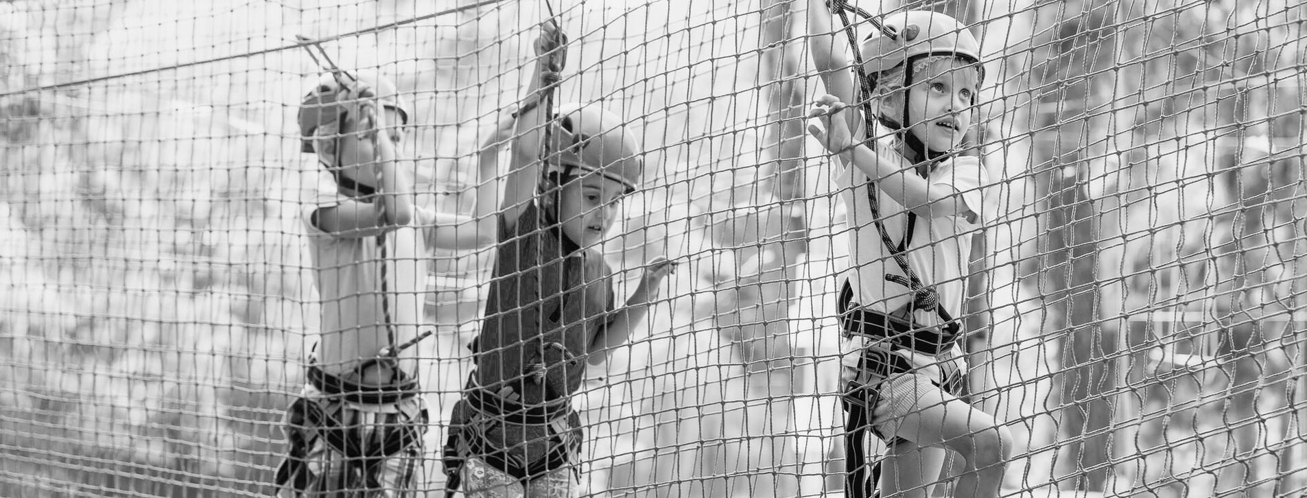 Фото 1 - Веревочный парк для компании