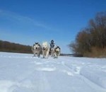 пользователь Анатолий 