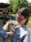 Екскурсія до Дому Хаскі для двох фото від покупця 45