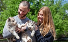 Екскурсія до Дому Хаскі для двох фото від покупця 43