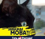 користувач Віктор