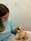 Створення скульптури фото від покупця 20