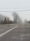 Екскурсія до Чорнобиля для двох з Києва фото від покупця 26