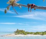 користувач Вікторія