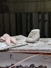 Екскурсія до Чорнобиля для двох з Києва фото від покупця 3