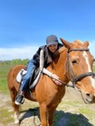 Прогулянка на конях для двох фото від покупця 10