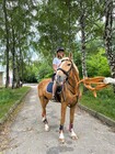 Урок верхової їзди фото від покупця 16