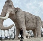 Парк Історії Землі для двох фото від покупця 6