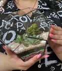 Майстер-клас створення флораріума фото від покупця 33