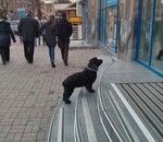 користувач Олександра