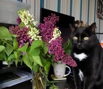 користувач Сергей