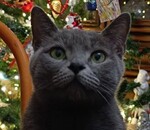 користувач Юлия