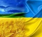 користувач Світлана
