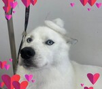 користувач Людмила