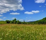 користувач Світлана