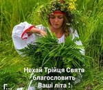 користувач Alla