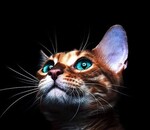 користувач Дмитро