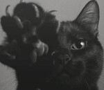 користувач Олена