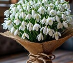 пользователь Інна