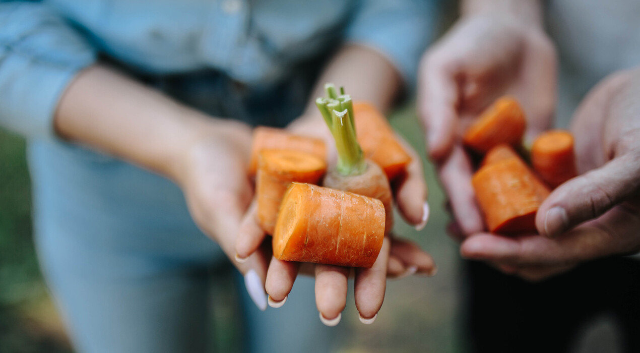 Стетсон - Конный клуб - 6 Фото 6 - Стетсон - Конный клуб