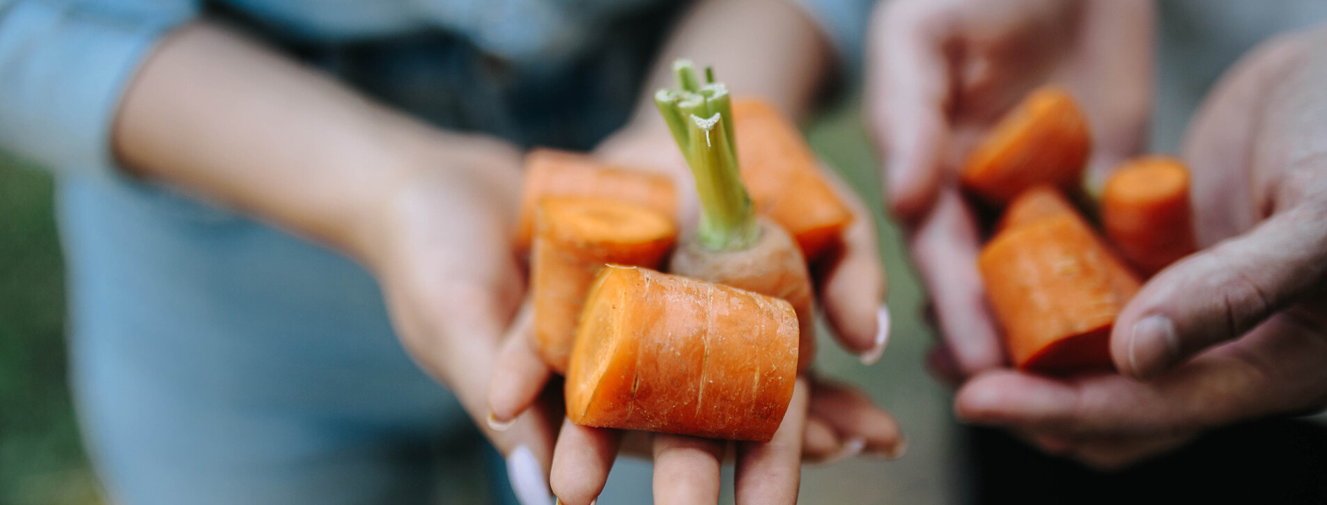 Экскурсия на конюшню для компании в Одессе - 7 Фото 7 - Экскурсия на конюшню для компании