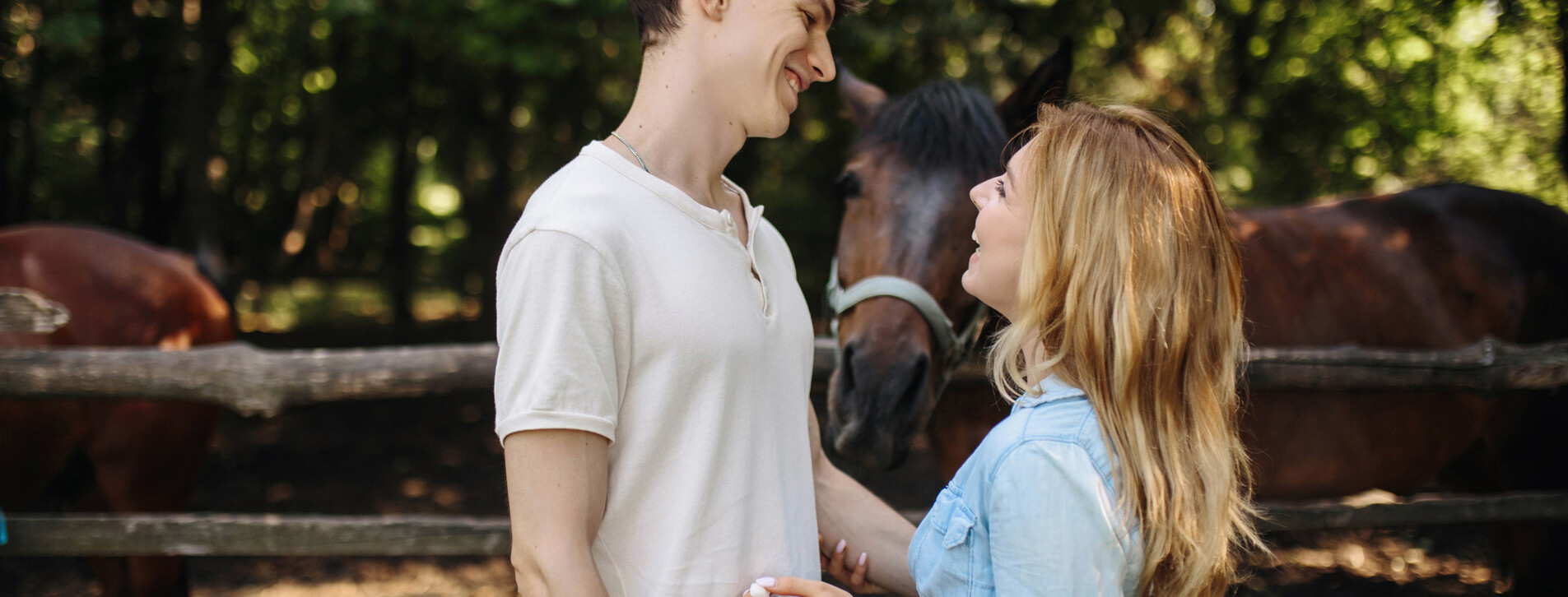 Экскурсия на конюшню для компании в Одессе - 9 Фото 9 - Экскурсия на конюшню для компании