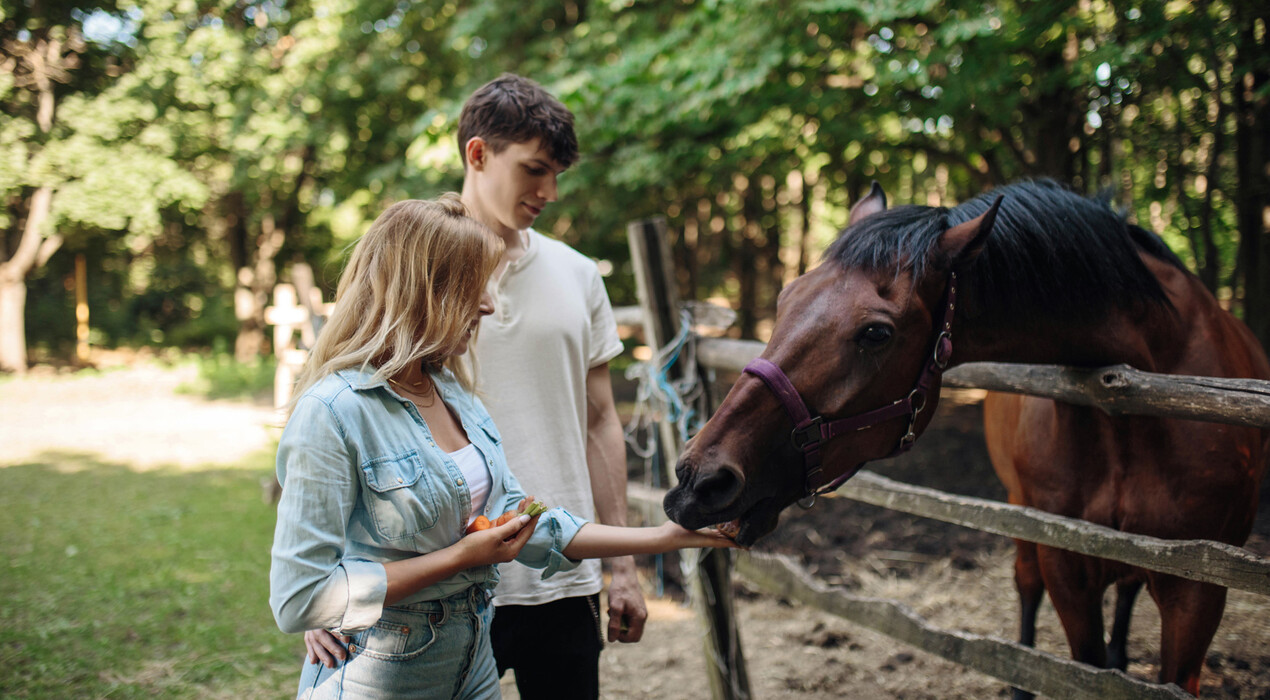 Стетсон - Конный клуб - 1 Фото 1 - Стетсон - Конный клуб