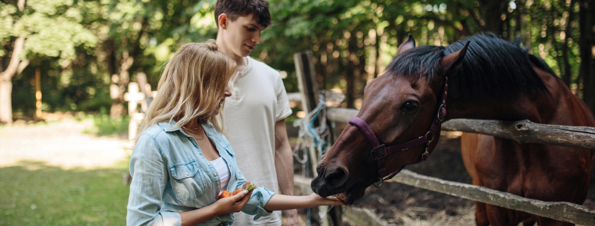 Экскурсия на конюшню для компании в Одессе - 2 Фото 2 - Экскурсия на конюшню для компании