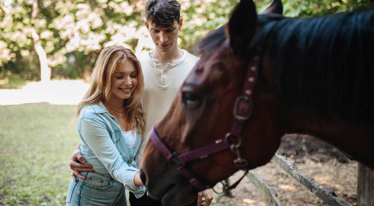 Стетсон - Конный клуб - 2 Фото 2 - Стетсон - Конный клуб