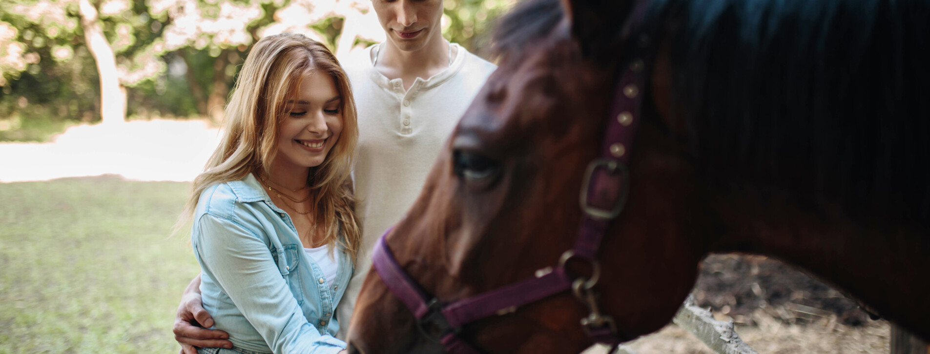 Экскурсия на конюшню для компании в Одессе - 3 Фото 3 - Экскурсия на конюшню для компании