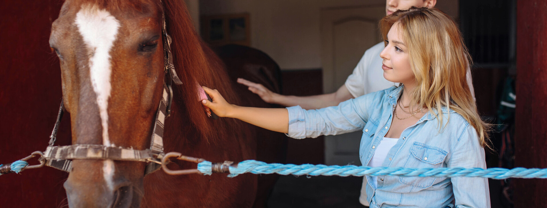 Экскурсия на конюшню для компании в Одессе - 6 Фото 6 - Экскурсия на конюшню для компании
