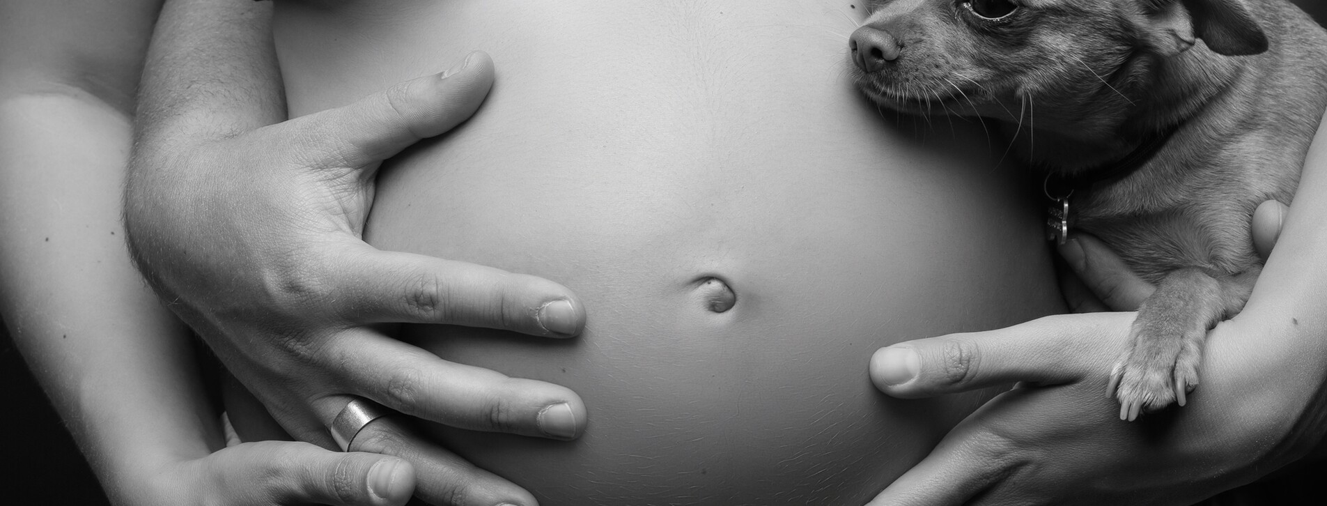 Фотосесія для вагітних у Києві - 14 Фото 14 - Фотосесія для вагітних