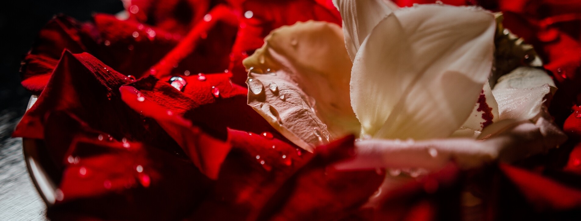 SPA вечер для двоих в Одессе - 10 Фото 10 - SPA вечер для двоих