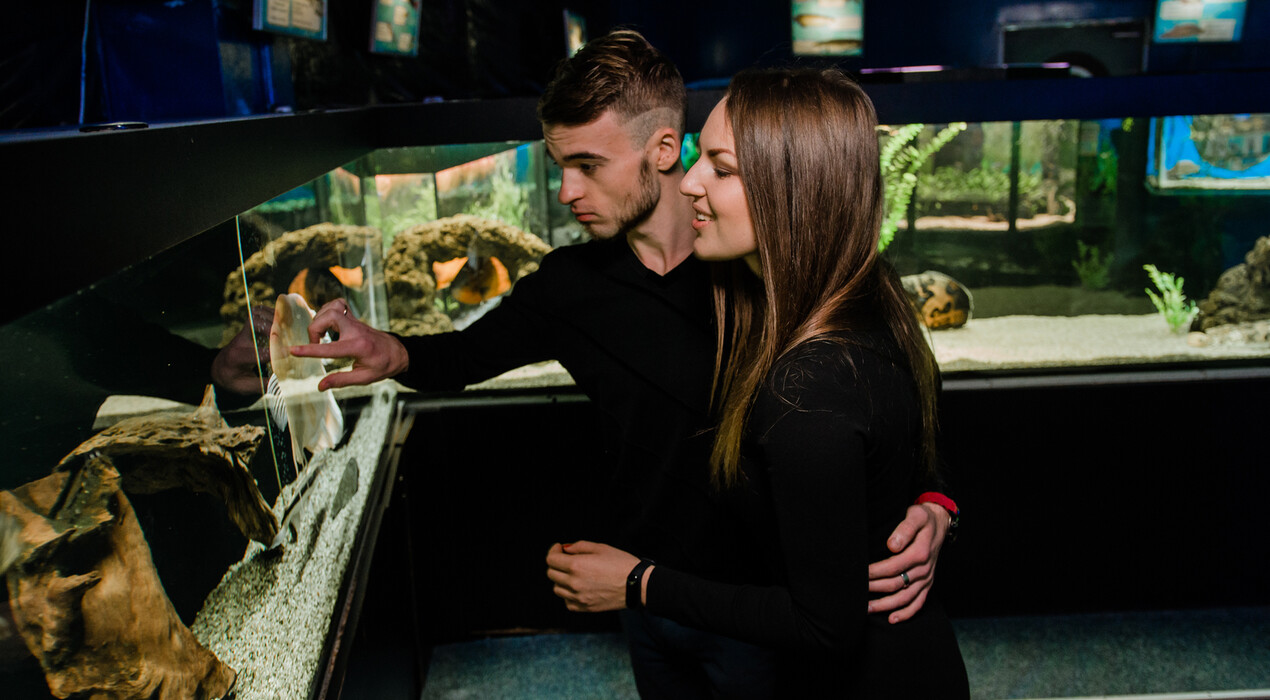 НЕМО - Дельфинарий - Одесса - 6 Фото 6 - НЕМО - Дельфинарий - Одесса