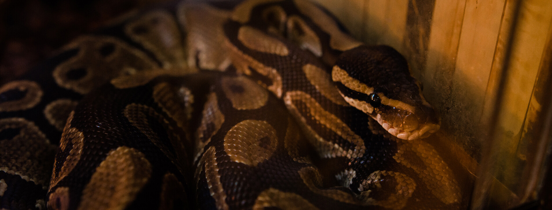 Океанариум для двоих в Одессе - 9 Фото 9 - Океанариум для двоих